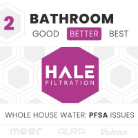 2 BATH: PFSA Issues (Better)